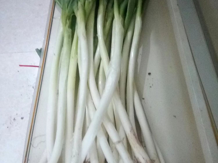 大蔥.jpg
